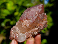 Natural Red Hematoid Quartz Clusters x 12 From Karoi, Zimbabwe