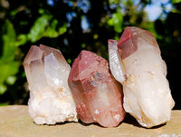 Natural Red Hematoid Quartz Clusters x 12 From Karoi, Zimbabwe