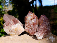 Natural Red Hematoid Quartz Clusters x 12 From Karoi, Zimbabwe