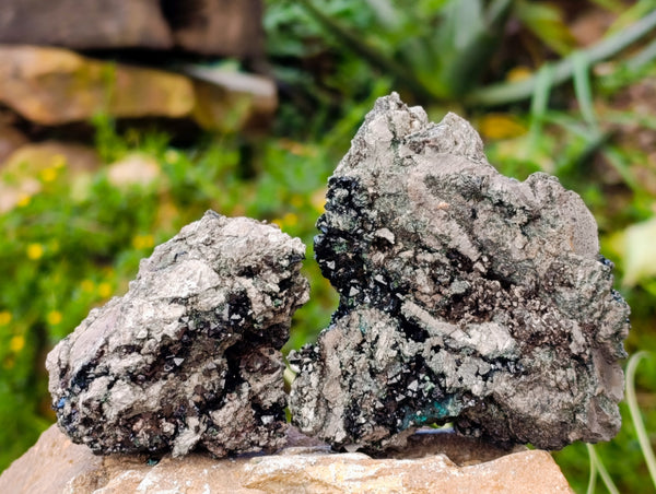 Natural Libethenite Crystals On Dolomite Matrix Specimens x 7 From Shituru, Congo