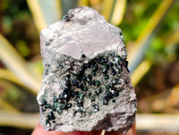 Natural Libethenite Crystals On Dolomite Matrix Specimens x 7 From Shituru, Congo