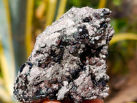 Natural Libethenite Crystals On Dolomite Matrix Specimens x 7 From Shituru, Congo