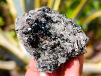 Natural Libethenite Crystals On Dolomite Matrix Specimens x 7 From Shituru, Congo