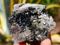 Natural Libethenite Crystals On Dolomite Matrix Specimens x 7 From Shituru, Congo