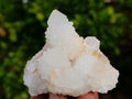 Natural White Cactus Flower Spirit Quartz Clusters x 12 From South Africa - Toprock Gemstones and Minerals 