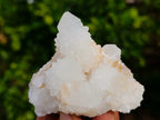 Natural White Cactus Flower Spirit Quartz Clusters x 12 From South Africa - Toprock Gemstones and Minerals 