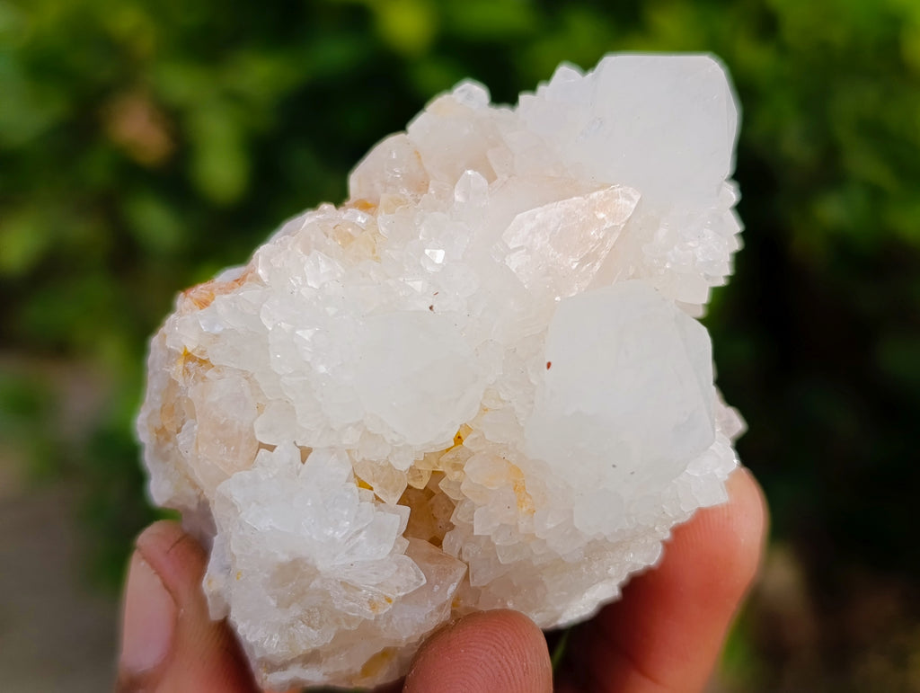 Natural White Cactus Flower Spirit Quartz Clusters x 12 From South Africa - Toprock Gemstones and Minerals 