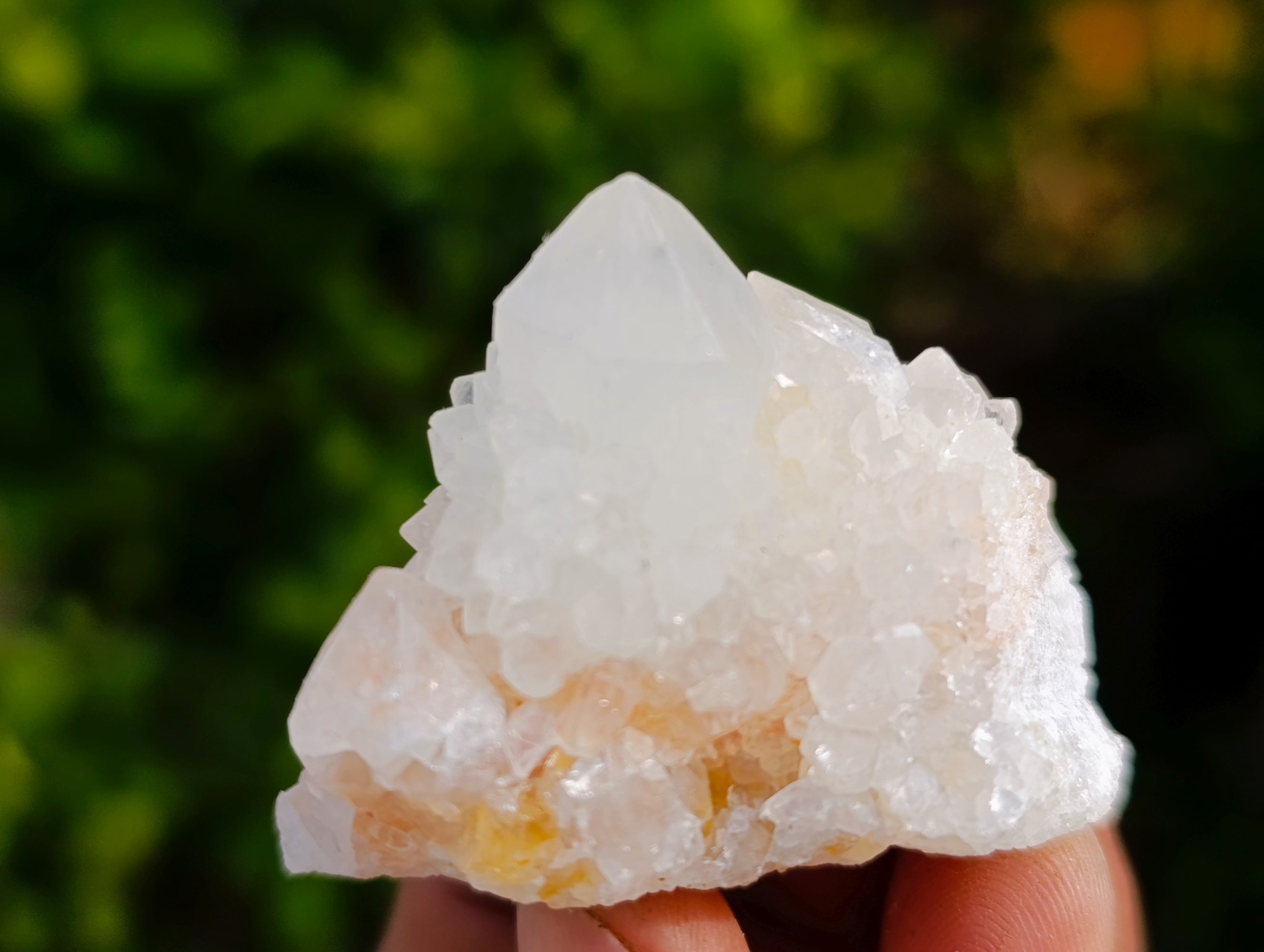 Natural White Cactus Flower Spirit Quartz Clusters x 12 From South Africa - Toprock Gemstones and Minerals 