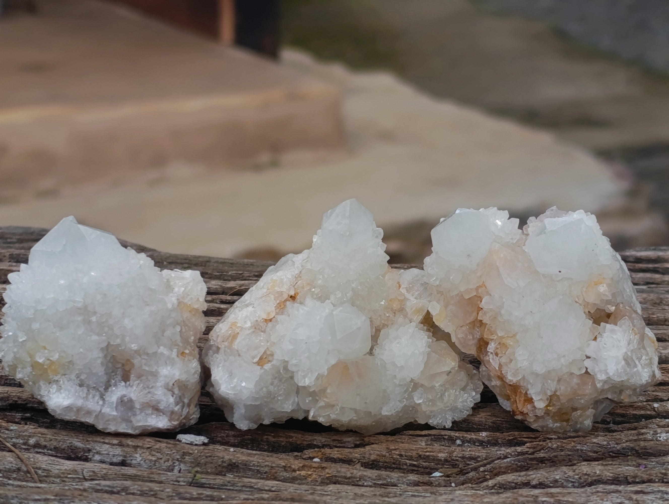 Natural White Cactus Flower Spirit Quartz Clusters x 12 From South Africa - Toprock Gemstones and Minerals 