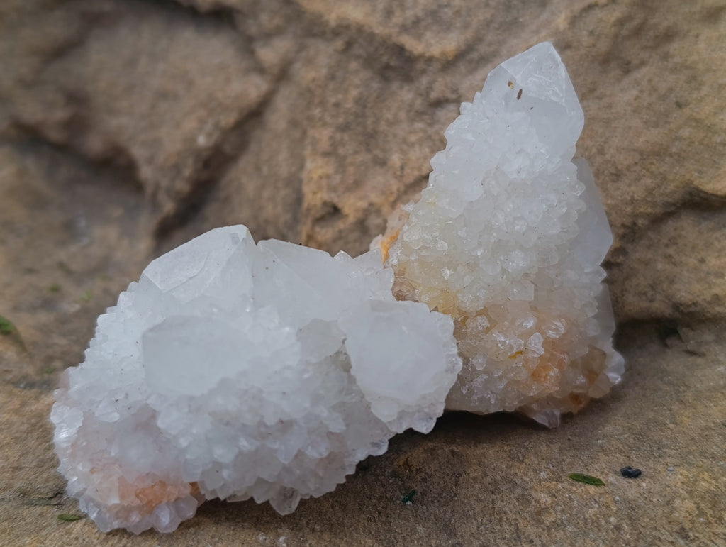 Natural White Cactus Flower Spirit Quartz Clusters x 12 From South Africa - Toprock Gemstones and Minerals 