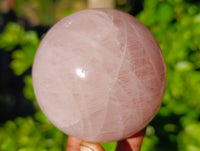 Polished Star Rose Quartz Spheres x 3 From Ambatondrazaka, Madagascar - Toprock Gemstones and Minerals 