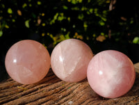 Polished Star Rose Quartz Spheres x 3 From Ambatondrazaka, Madagascar - Toprock Gemstones and Minerals 