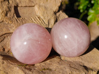 Polished Star Rose Quartz Spheres x 3 From Ambatondrazaka, Madagascar - Toprock Gemstones and Minerals 