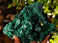 Natural Silky Malachite Specimens x 2 From Kasompe, Congo - Toprock Gemstones and Minerals 