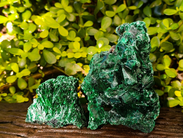 Natural Silky Malachite Specimens x 2 From Kasompe, Congo - Toprock Gemstones and Minerals 