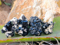 Natural Schorl Black Tourmaline Specimens on Orthoclase Matrix x 70 From Erongo, Namibia - Toprock Gemstones and Minerals 
