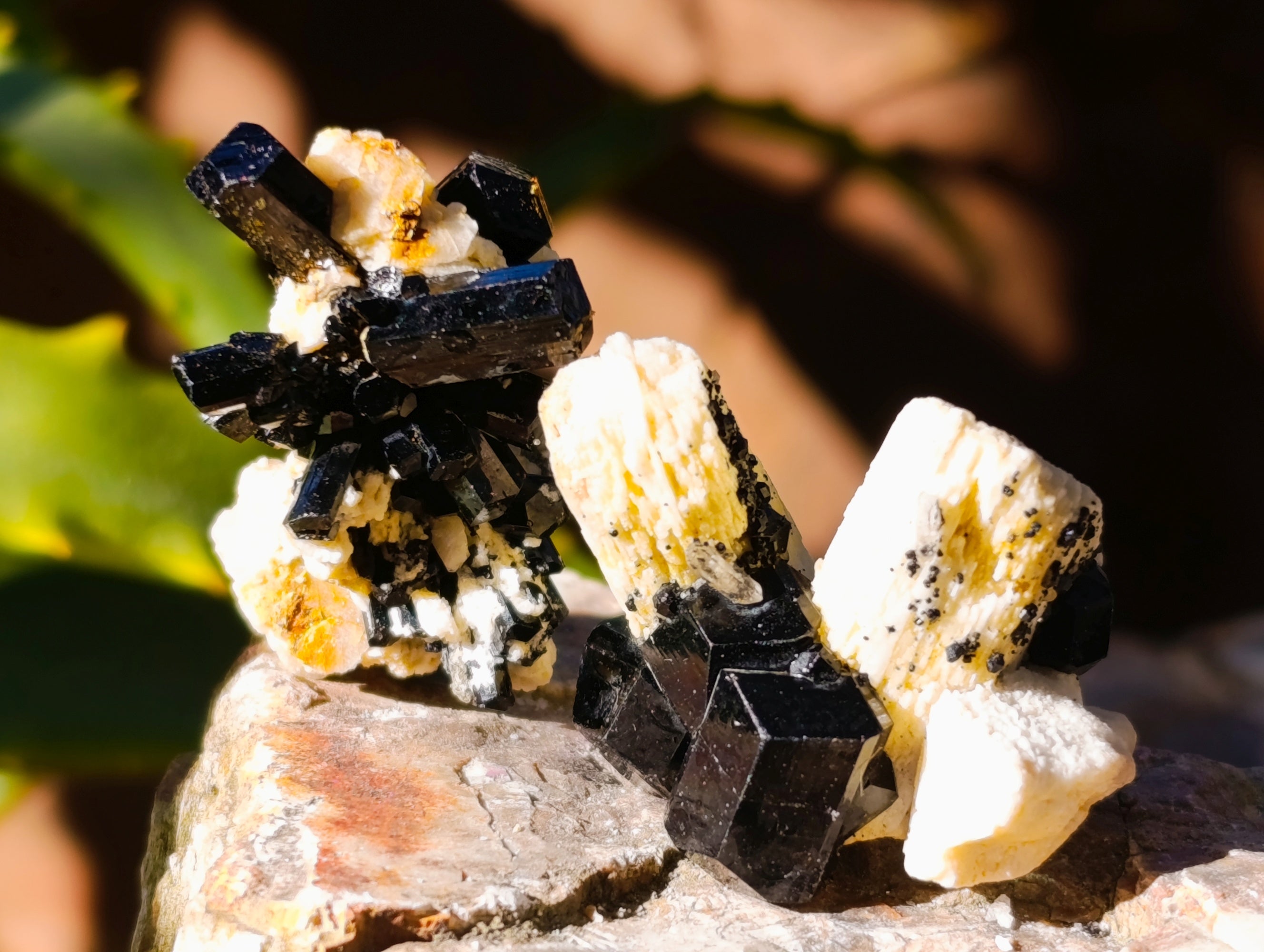 Natural Schorl Black Tourmaline Specimens on Orthoclase Matrix x 70 From Erongo, Namibia - Toprock Gemstones and Minerals 