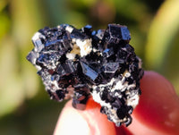 Natural Schorl Black Tourmaline Specimens on Orthoclase Matrix x 70 From Erongo, Namibia - Toprock Gemstones and Minerals 