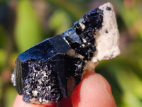 Natural Schorl Black Tourmaline Specimens on Orthoclase Matrix x 70 From Erongo, Namibia - Toprock Gemstones and Minerals 