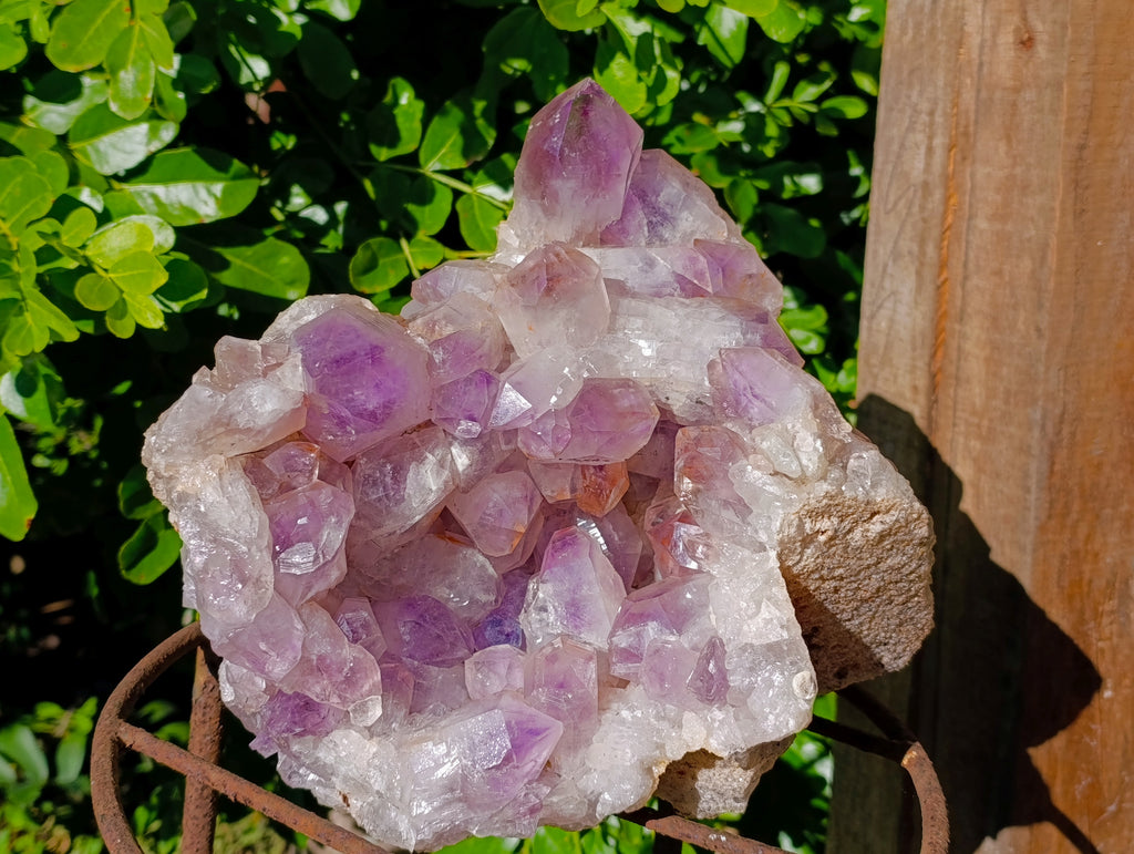 Natural Large Jacaranda Amethyst Quartz Cluster x 1 From Mumbwa, Zambia - Toprock Gemstones and Minerals 