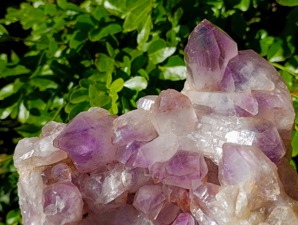 Natural Large Jacaranda Amethyst Quartz Cluster x 1 From Mumbwa, Zambia - Toprock Gemstones and Minerals 