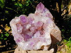 Natural Large Jacaranda Amethyst Quartz Cluster x 1 From Mumbwa, Zambia - Toprock Gemstones and Minerals 