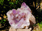 Natural Large Jacaranda Amethyst Quartz Cluster x 1 From Mumbwa, Zambia - Toprock Gemstones and Minerals 