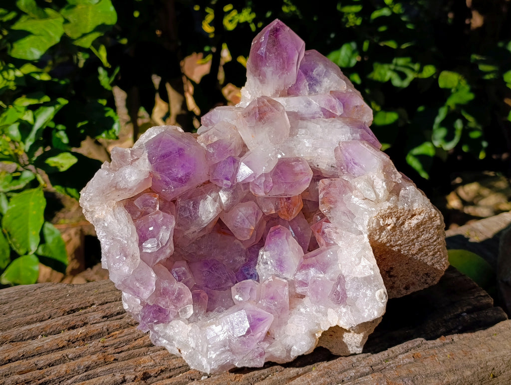 Natural Large Jacaranda Amethyst Quartz Cluster x 1 From Mumbwa, Zambia - Toprock Gemstones and Minerals 