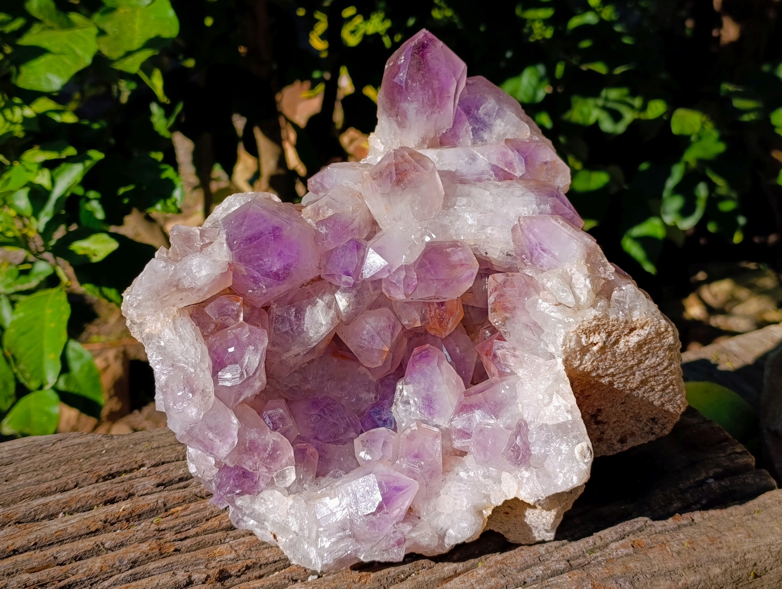 Natural Large Jacaranda Amethyst Quartz Cluster x 1 From Mumbwa, Zambia - Toprock Gemstones and Minerals 