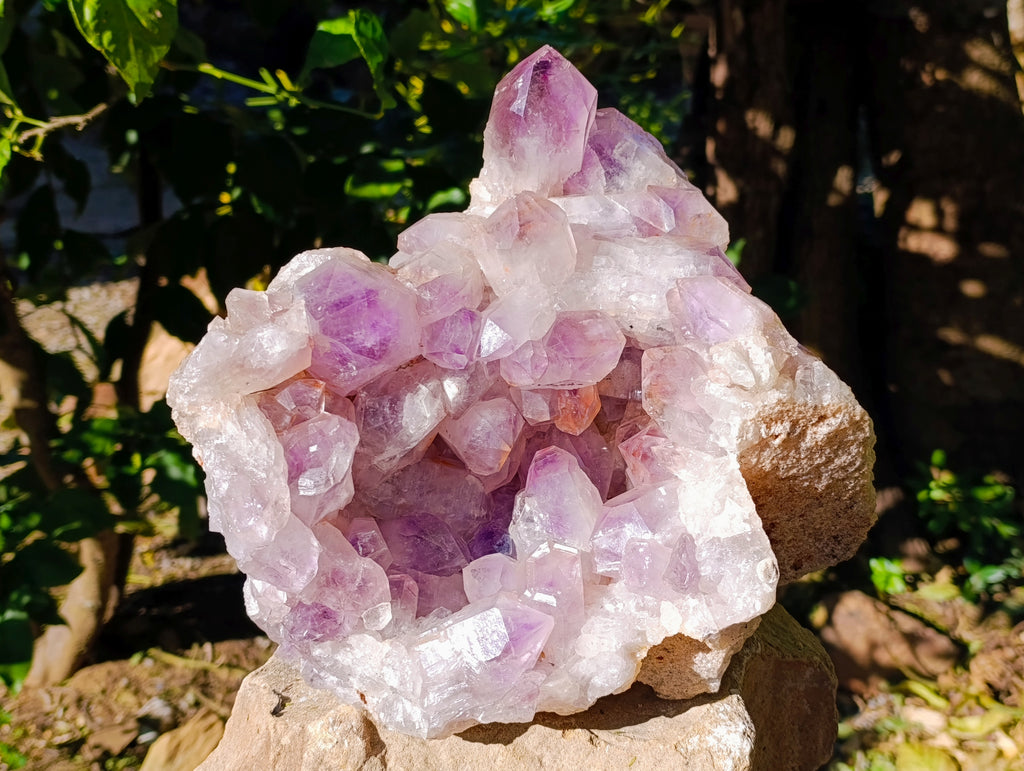 Natural Large Jacaranda Amethyst Quartz Cluster x 1 From Mumbwa, Zambia - Toprock Gemstones and Minerals 