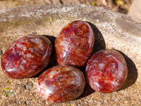 Polished Red Hematoid Quartz Palm Stones x 20 From Madagascar - Toprock Gemstones and Minerals 