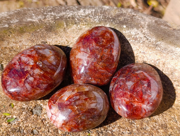 Polished Red Hematoid Quartz Palm Stones x 20 From Madagascar - Toprock Gemstones and Minerals 