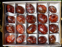 Polished Red Hematoid Quartz Palm Stones x 20 From Madagascar - Toprock Gemstones and Minerals 