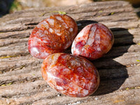 Polished Red Hematoid Quartz Palm Stones x 20 From Madagascar - Toprock Gemstones and Minerals 