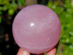 Polished Star Rose Quartz Spheres x 3 From Ambatondrazaka, Madagascar - Toprock Gemstones and Minerals 