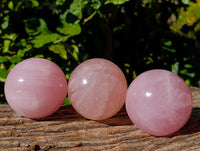 Polished Star Rose Quartz Spheres x 3 From Ambatondrazaka, Madagascar - Toprock Gemstones and Minerals 