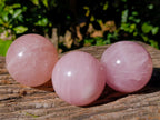 Polished Star Rose Quartz Spheres x 3 From Ambatondrazaka, Madagascar - Toprock Gemstones and Minerals 