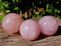 Polished Star Rose Quartz Spheres x 3 From Ambatondrazaka, Madagascar - Toprock Gemstones and Minerals 