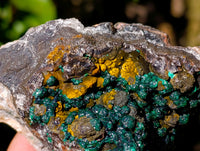 Natural Ball Malachite and Drusy Quartz On Dolomite Matrix Specimens x 2 From Kambove, Congo