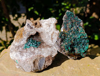 Natural Ball Malachite and Drusy Quartz On Dolomite Matrix Specimens x 2 From Kambove, Congo