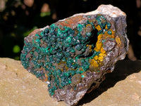 Natural Ball Malachite and Drusy Quartz On Dolomite Matrix Specimens x 2 From Kambove, Congo