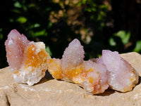 Natural Amethyst Spirit Quartz Clusters x 12 From Boekenhouthoek, South Africa - Toprock Gemstones and Minerals 