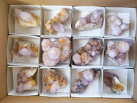 Natural Amethyst Spirit Quartz Clusters x 12 From Boekenhouthoek, South Africa - Toprock Gemstones and Minerals 