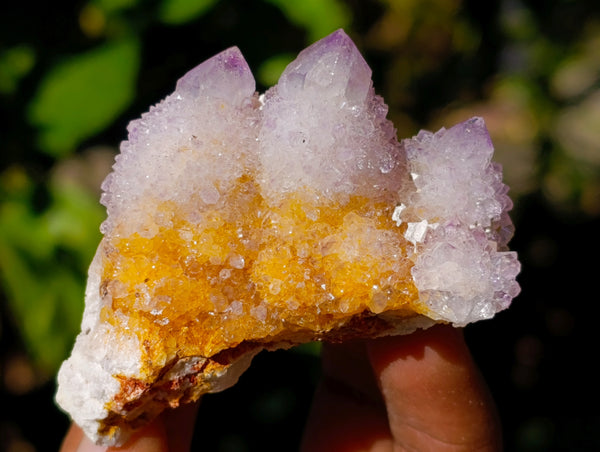 Natural Amethyst Spirit Quartz Clusters x 12 From Boekenhouthoek, South Africa