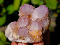 Natural Amethyst Spirit Quartz Clusters x 12 From Boekenhouthoek, South Africa - Toprock Gemstones and Minerals 