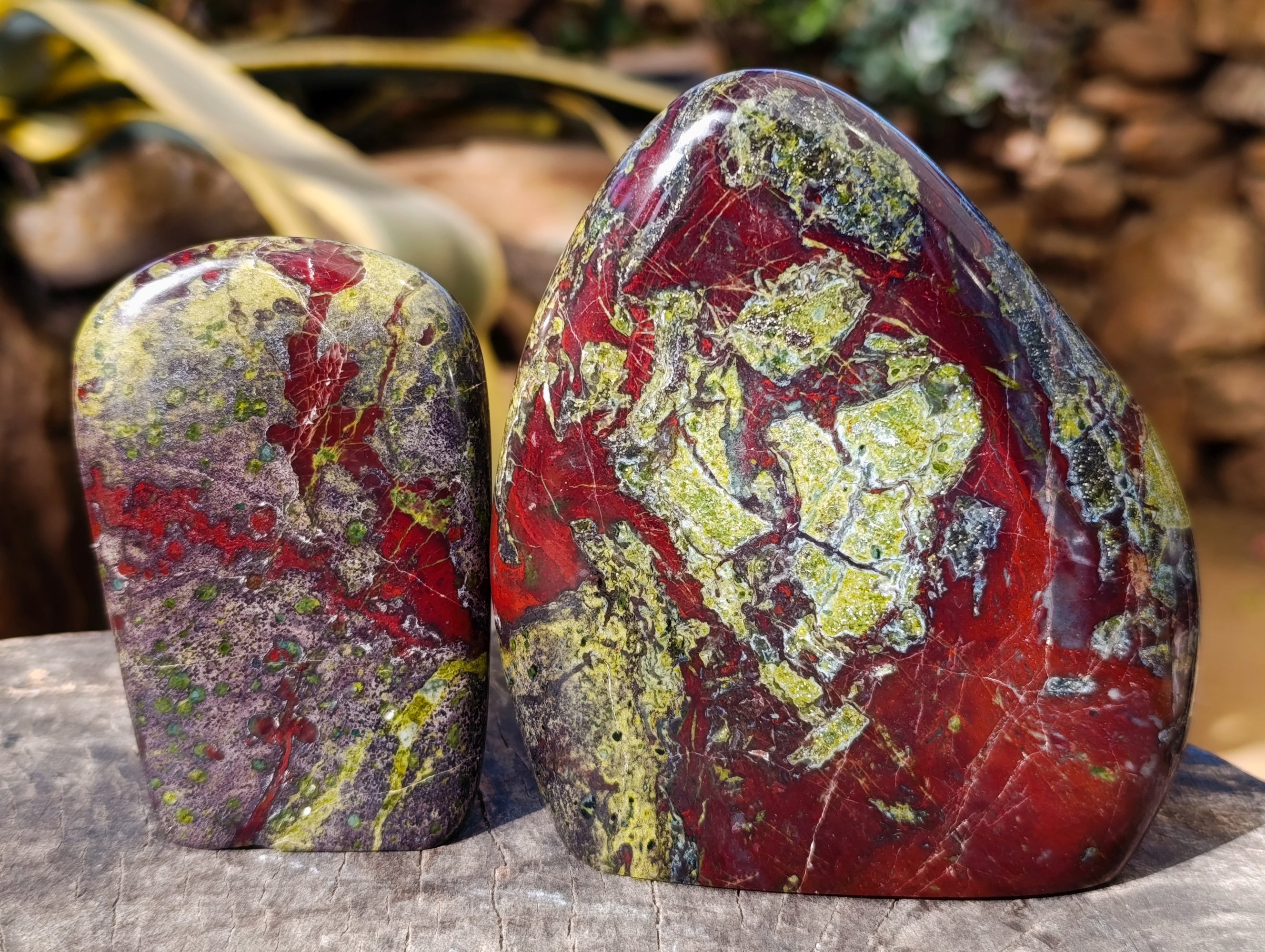 Polished Bastite Dragons Blood Stone Standing Free Forms x 2 From Tshipise, South Africa - Toprock Gemstones and Minerals 