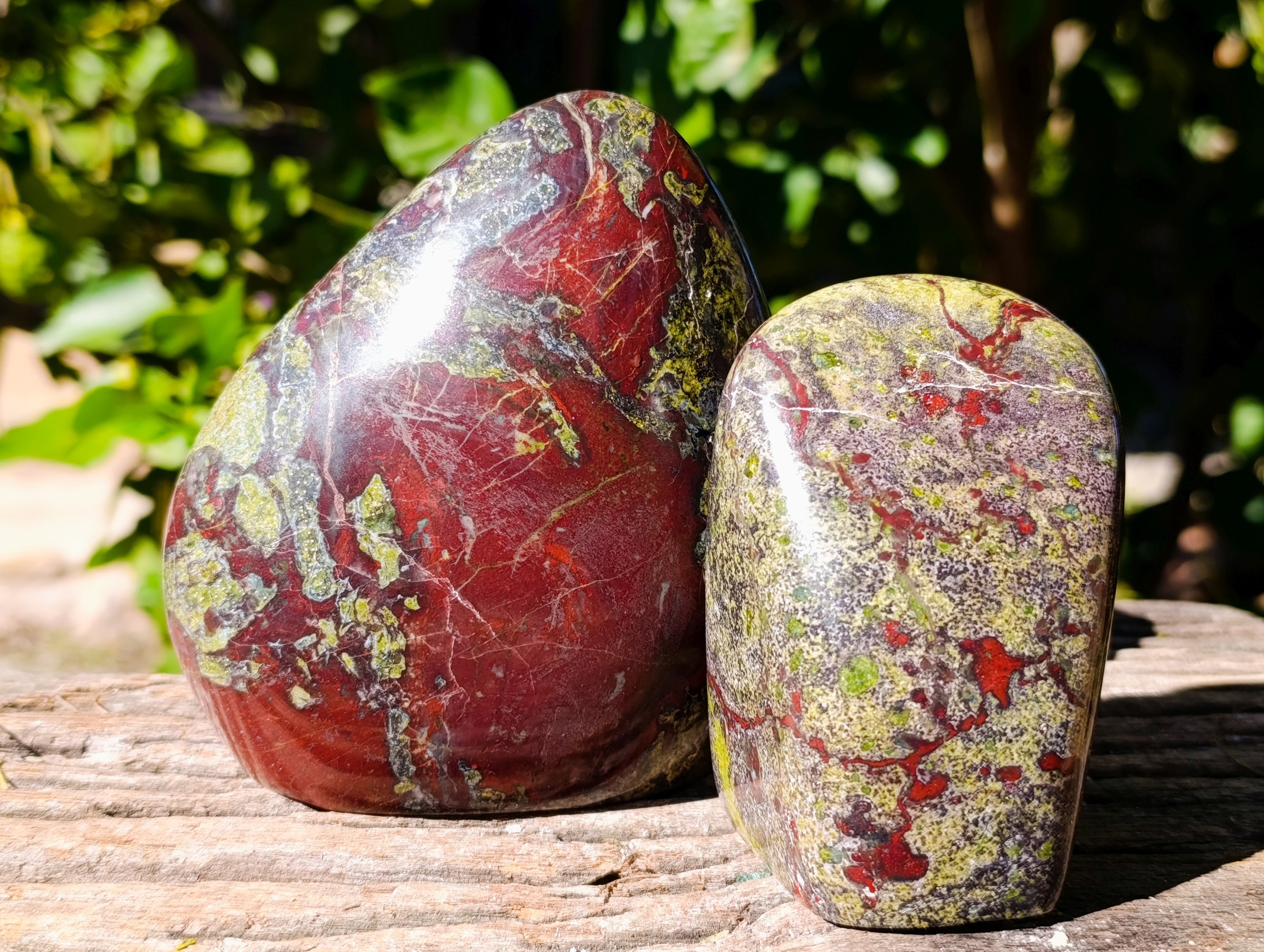 Polished Bastite Dragons Blood Stone Standing Free Forms x 2 From Tshipise, South Africa - Toprock Gemstones and Minerals 