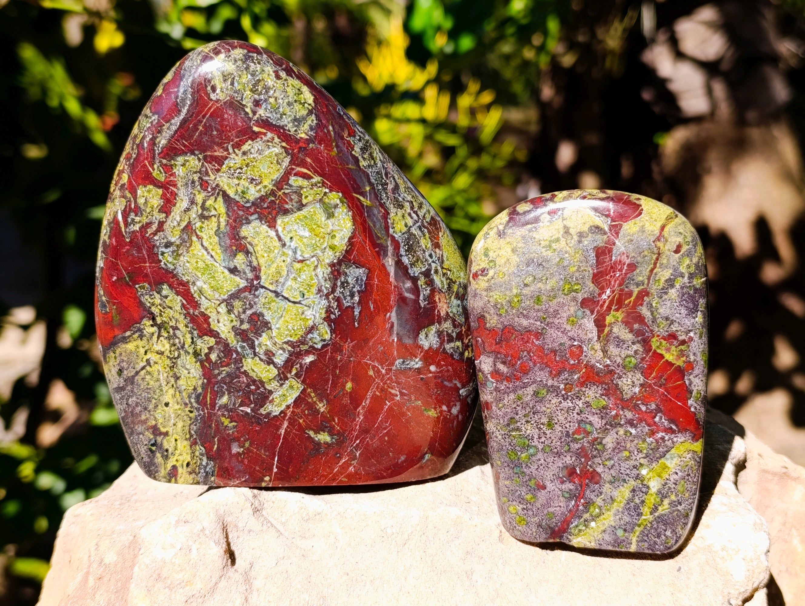Polished Bastite Dragons Blood Stone Standing Free Forms x 2 From Tshipise, South Africa - Toprock Gemstones and Minerals 