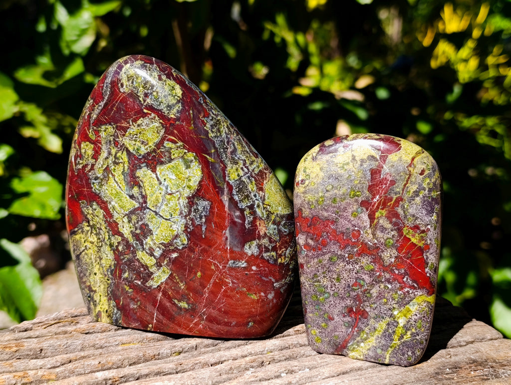 Polished Bastite Dragons Blood Stone Standing Free Forms x 2 From Tshipise, South Africa - Toprock Gemstones and Minerals 
