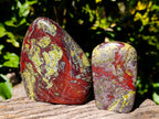 Polished Bastite Dragons Blood Stone Standing Free Forms x 2 From Tshipise, South Africa - Toprock Gemstones and Minerals 